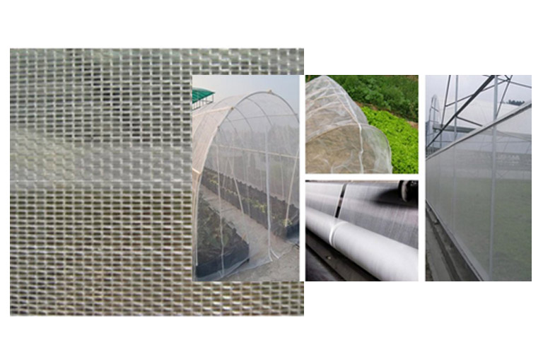 Insect Proof Nets