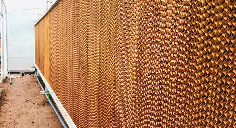 High Tech Temperature Control Greenhouse