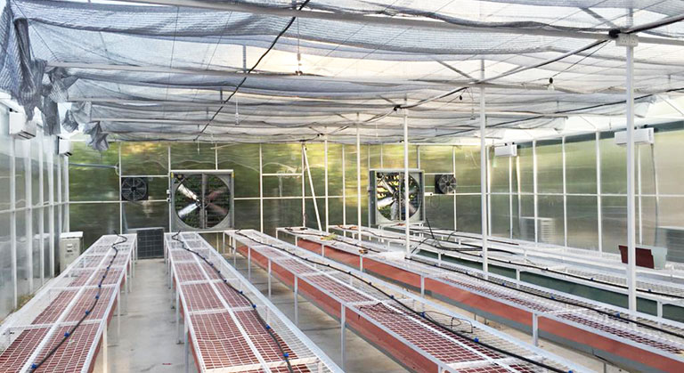 High Tech Temperature Control Greenhouse