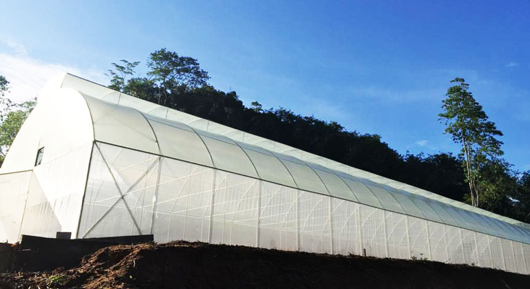 High Tech Temperature Control Greenhouse