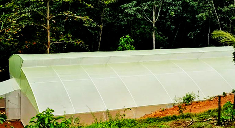 High Tech Temperature Control Greenhouse