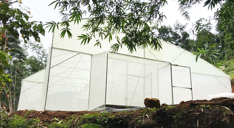 High Tech Temperature Control Greenhouse