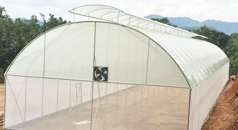High Tech Temperature Control Greenhouse