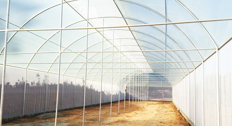High Tech Temperature Control Greenhouse