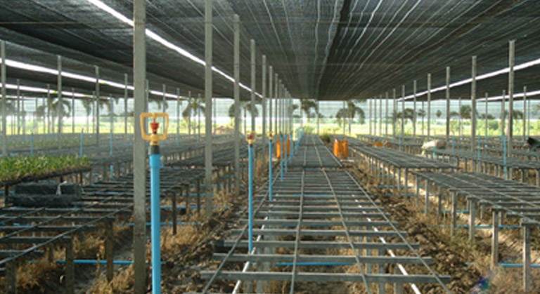 High Tech Temperature Control Greenhouse